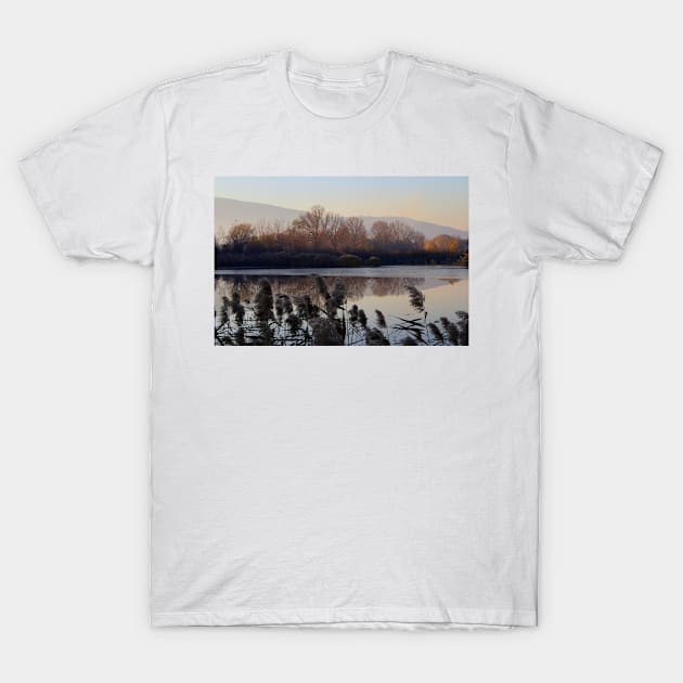 A cold day T-Shirt by annalisa56